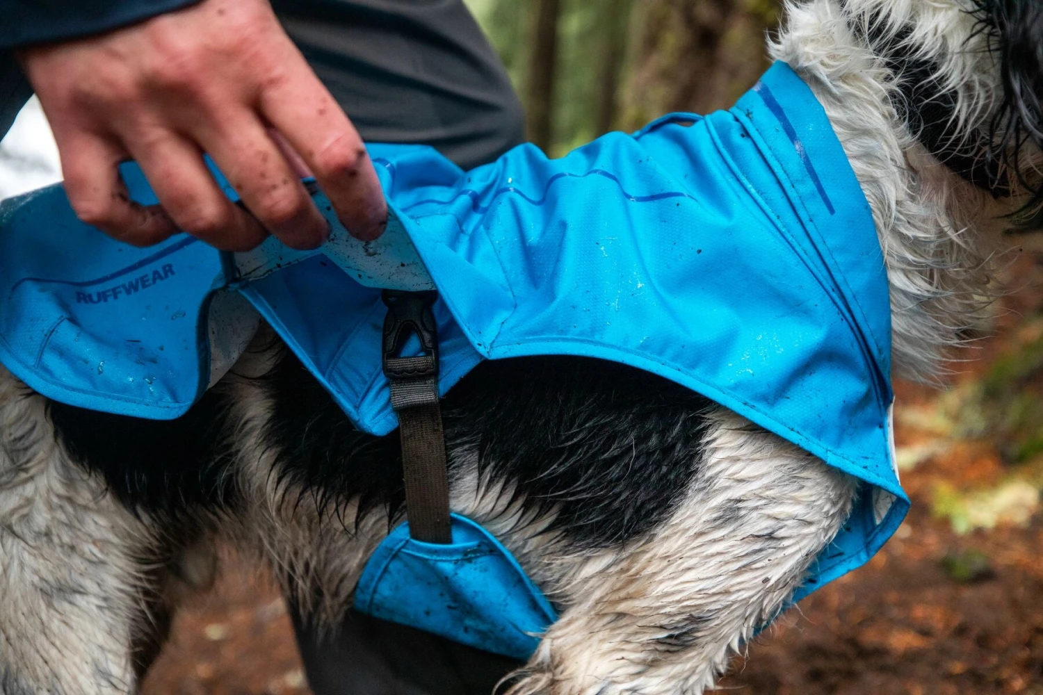 Ruffwear - Sun Shower™ Rain Jacket - Blue Dusk 9 Ruffwear - Sun Shower™ Rain Jacket - Blue Dusk - Image 7