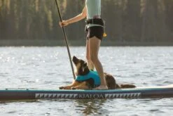 Ruffwear - Float Coat™ - Dog Life Jacket - Blue Dusk -Pet dog web jpg 45103 float coat blue dusk hosmer lake lennon print 55