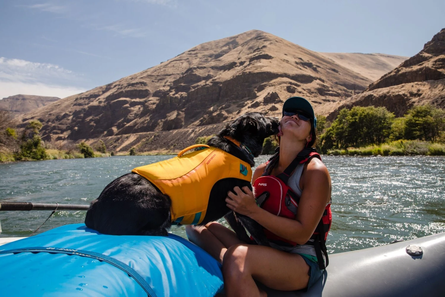 Ruffwear - Float Coat™ - Dog Life Jacket - Wave Orange 11 Ruffwear - Float Coat™ - Dog Life Jacket - Wave Orange - Image 9