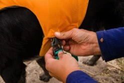 Ruffwear - Float Coat™ - Dog Life Jacket - Wave Orange 24 Ruffwear - Float Coat™ - Dog Life Jacket - Wave Orange -Pet dog web jpg 45103 float coat deschutes river print 154