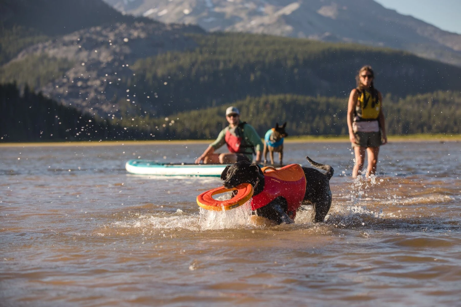 Ruffwear - Float Coat™ - Dog Life Jacket - Red Sumac 11 Ruffwear - Float Coat™ - Dog Life Jacket - Red Sumac - Image 9