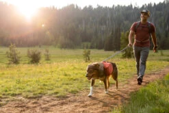 Ruffwear - Switchbak Lead Granite Gray -Pet dog webimage 54c3c97b 2a1b 4253 a2f0 f81ab684c186