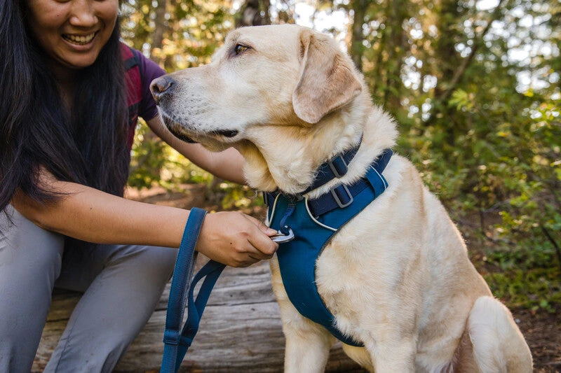 Ruffwear - Front Range Harness Blue Moon 9 Ruffwear - Front Range Harness Blue Moon - Image 7