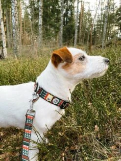 Woolly Wolf - Woodland Dog Collar 10 Woolly Wolf - Woodland Dog Collar -Pet dog woodlandcollarandleash 1800x1800 1
