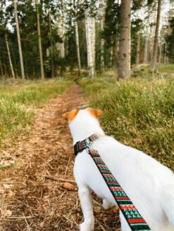 Woolly Wolf - Woodland Dog Lead -Pet dog woodlandleashandcollar 1800x1800 597e9eb9 3580 4022 bf57 b94cd8431740