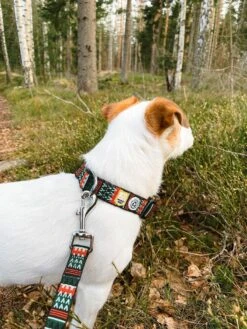 Woolly Wolf - Woodland Dog Collar 11 Woolly Wolf - Woodland Dog Collar -Pet dog woodlandsetleascollar 1800x1800 1