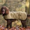 Country & Twee - Green Tweed Dog Coat -Pet dog woody 1 1024x1024 1