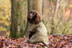Country & Twee - Green Tweed Dog Coat -Pet dog woody 2 1024x1024 1